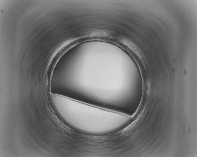 X0000087421021200704201040