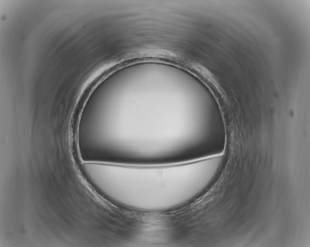 X0000087421024200704201040