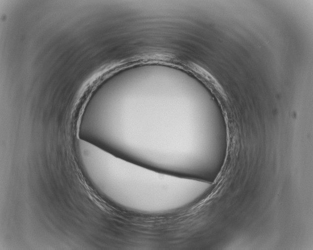 X0000087421027200704201040