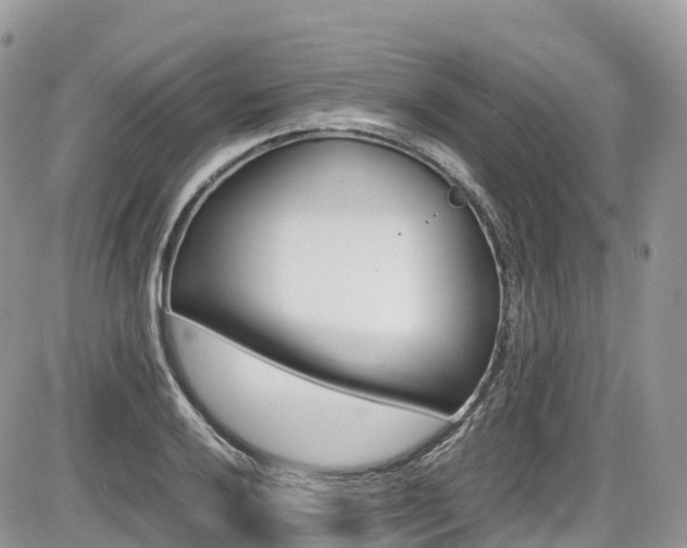 X0000087421032200704201040