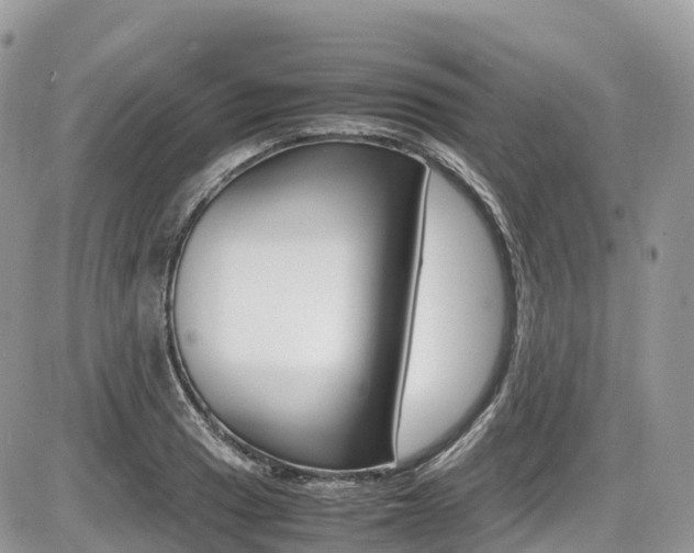 X0000087421033200704201040