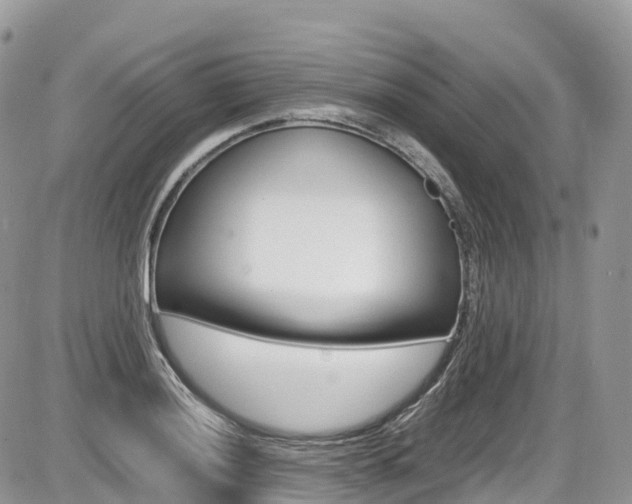 X0000087421036200704201040