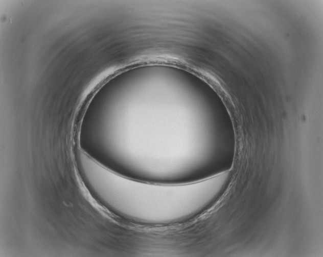 X0000087421038200704201040