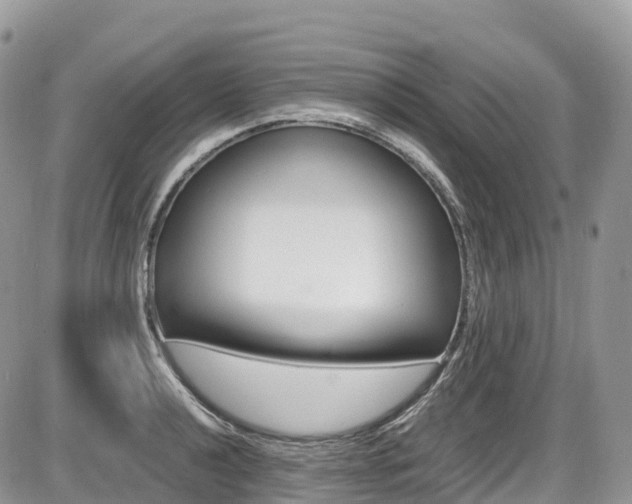 X0000087421040200704201040
