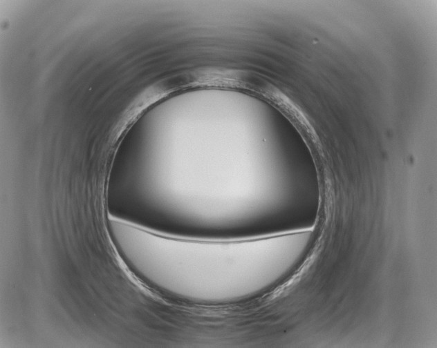 X0000087421041200704201040