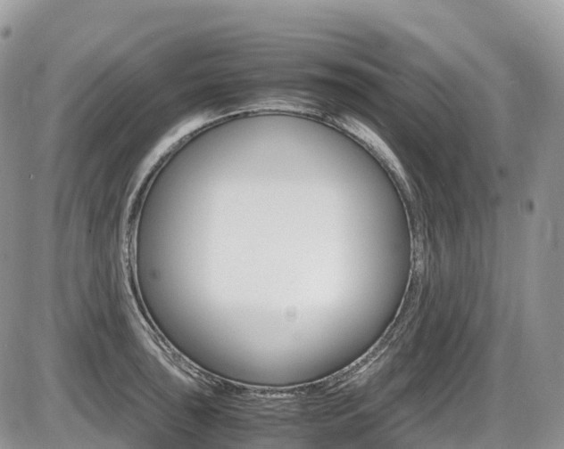 X0000087421043200704201040