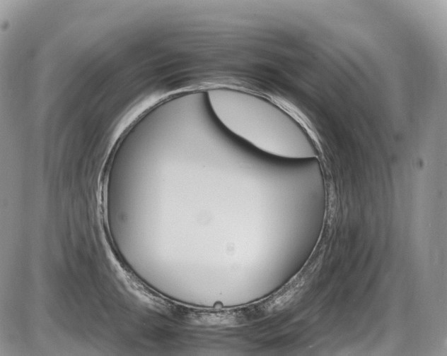 X0000087421047200704201040