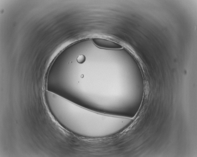 X0000087421048200704201041