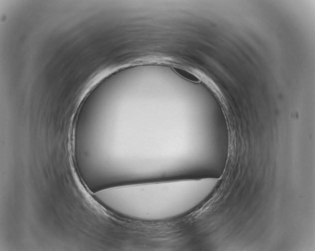 X0000087421055200704201041