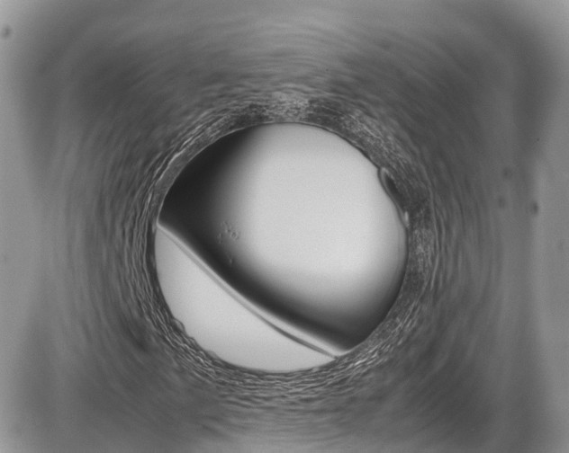 X0000087421057200704201040