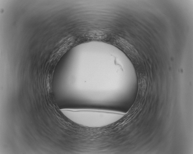 X0000087421058200704201040