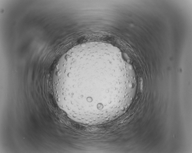 X0000087421059200704201040