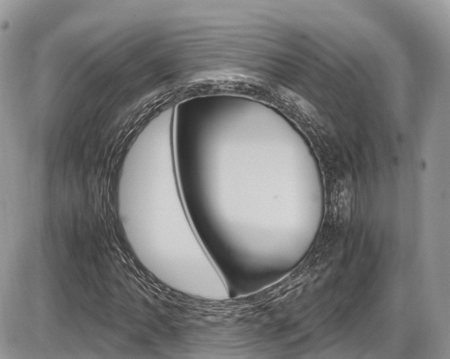 X0000087421062200704201040