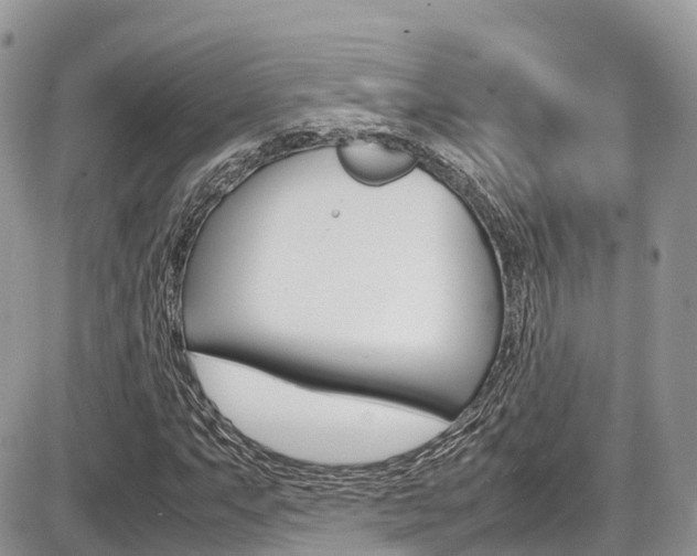 X0000087421063200704201040