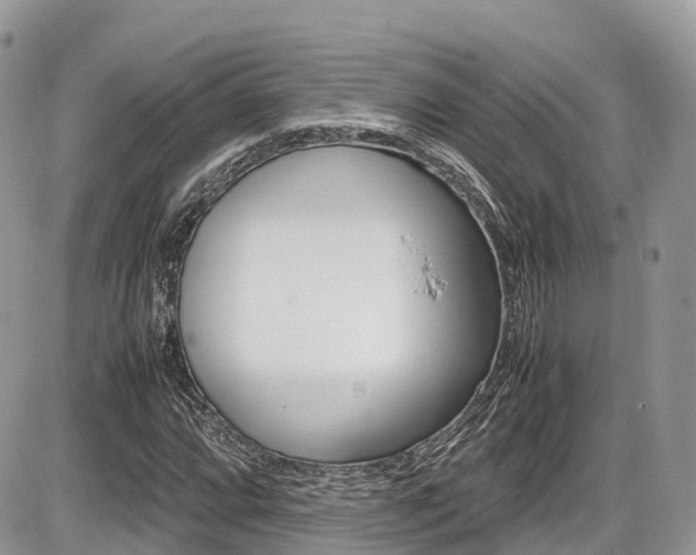 X0000087421064200704201040