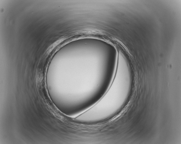 X0000087421065200704201040