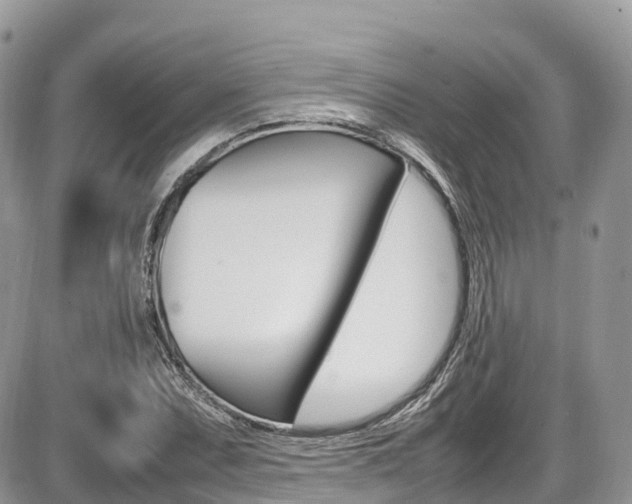 X0000087421071200704201040