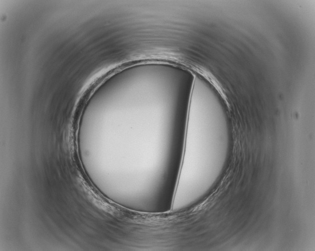 X0000087421072200704201040