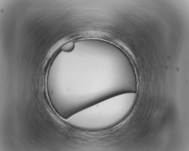 X0000087421075200704201040