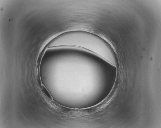 X0000087421077200704201040