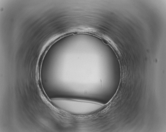 X0000087421080200704201039