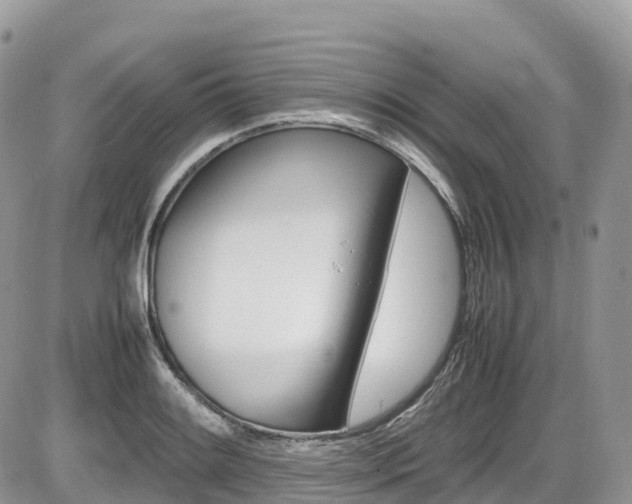 X0000087421084200704201039