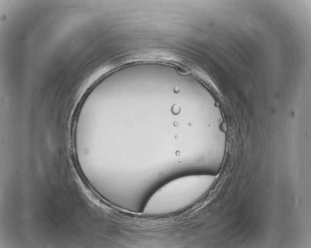 X0000087421087200704201039