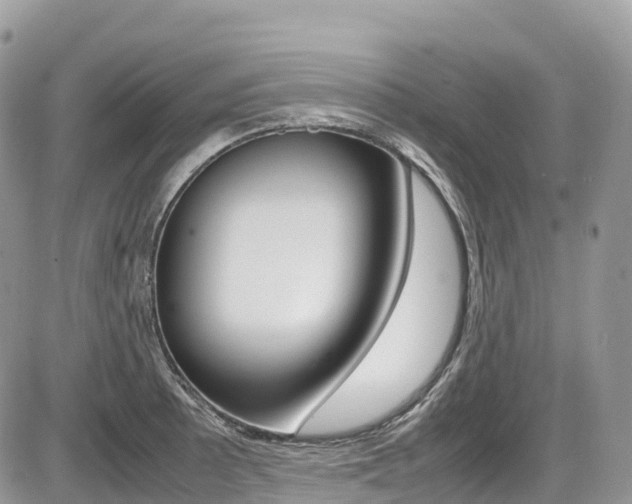 X0000087421089200704201039