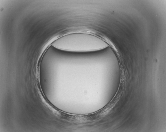 X0000087421095200704201039