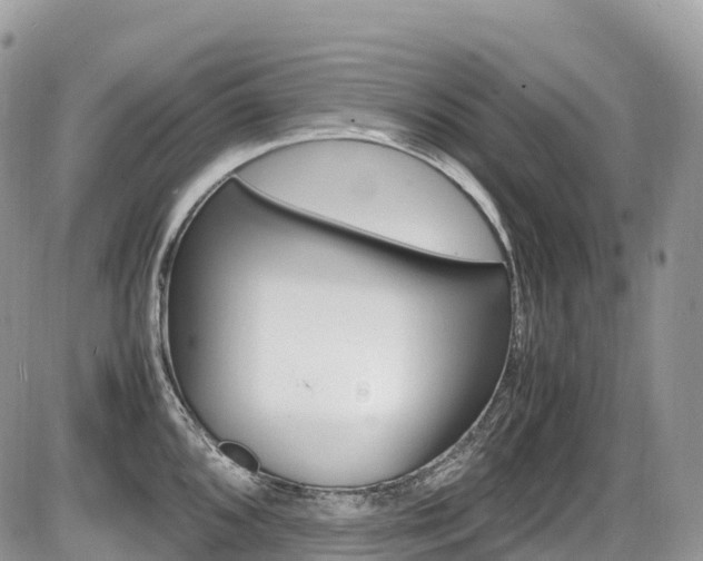X0000087421096200704201039