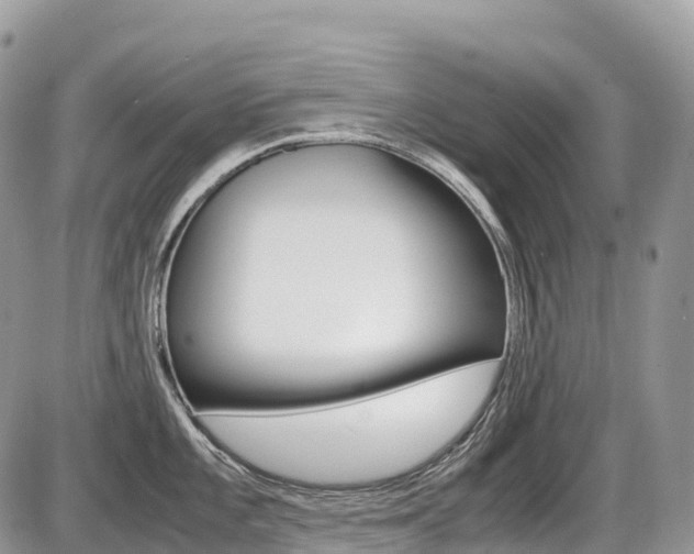 X0000087421101200704201039