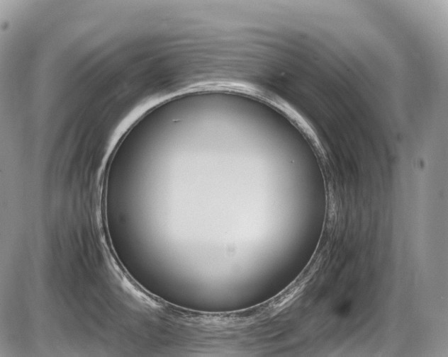 X0000087421102200704201039