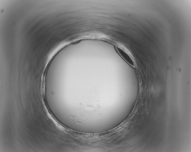 X0000087421103200704201039