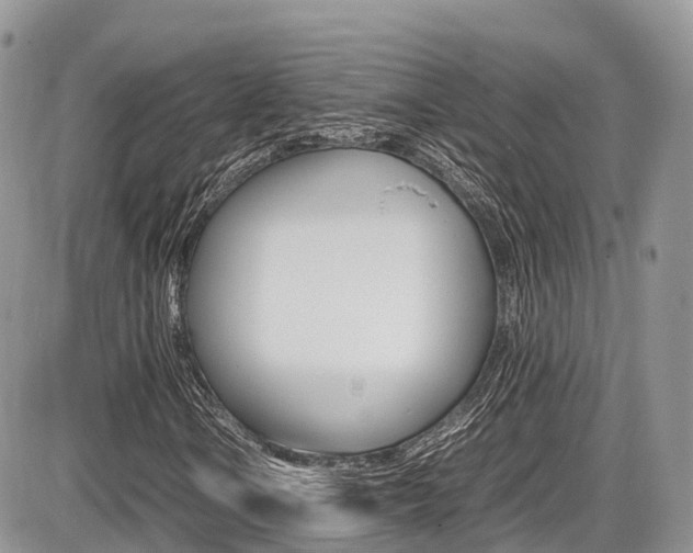 X0000087421106200704201038