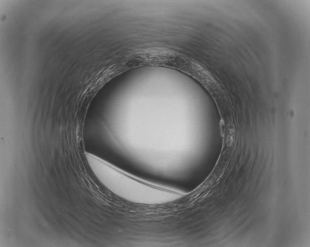 X0000087421108200704201038