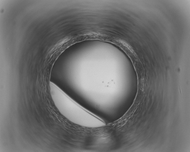 X0000087421111200704201038