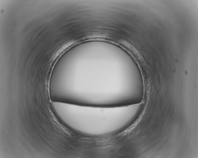 X0000087421121200704201039