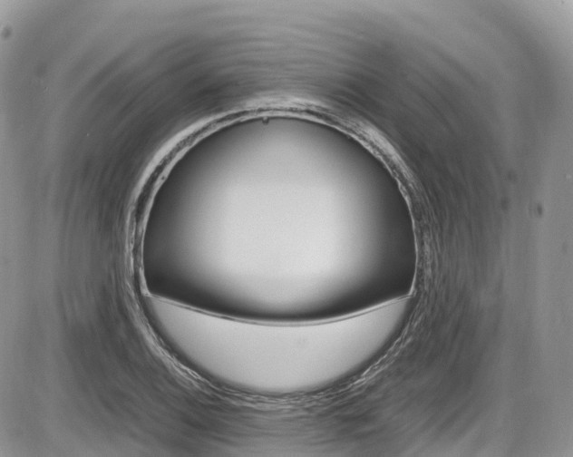 X0000087421124200704201039