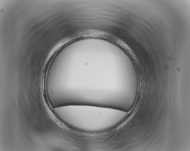 X0000087421130200704201039
