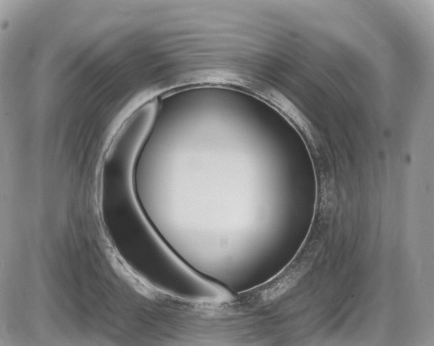 X0000087421132200704201039