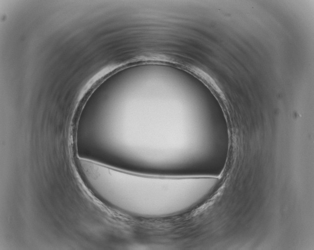 X0000087421133200704201039