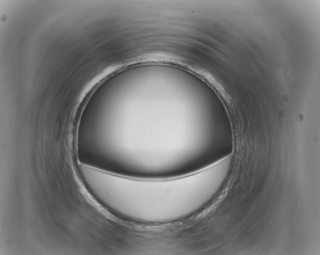 X0000087421134200704201039