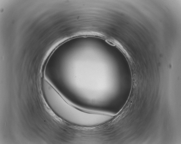 X0000087421140200704201039
