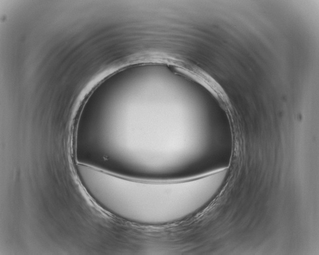 X0000087421144200704201039