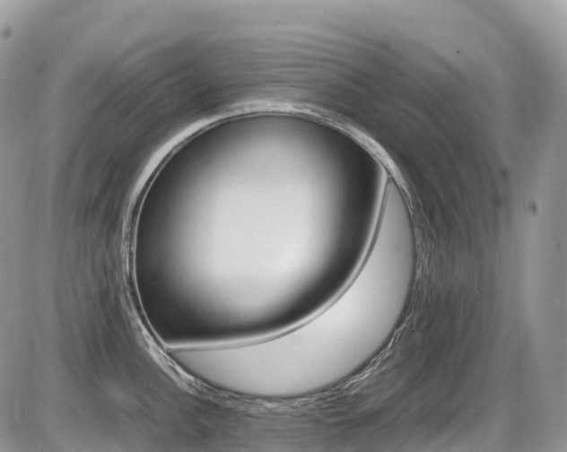X0000087421148200704201039