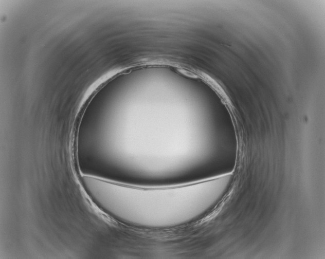 X0000087421149200704201039