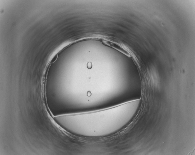 X0000087421151200704201039