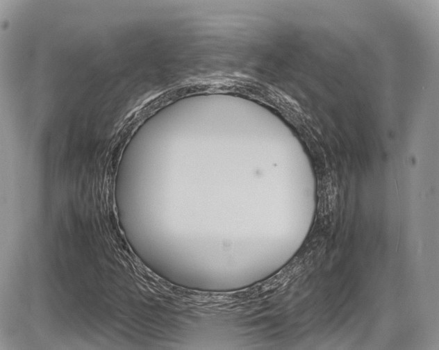 X0000087421158200704201038