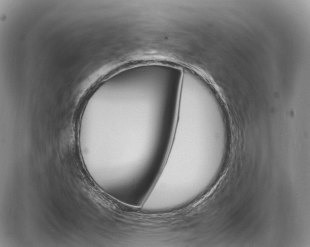 X0000087421167200704201038