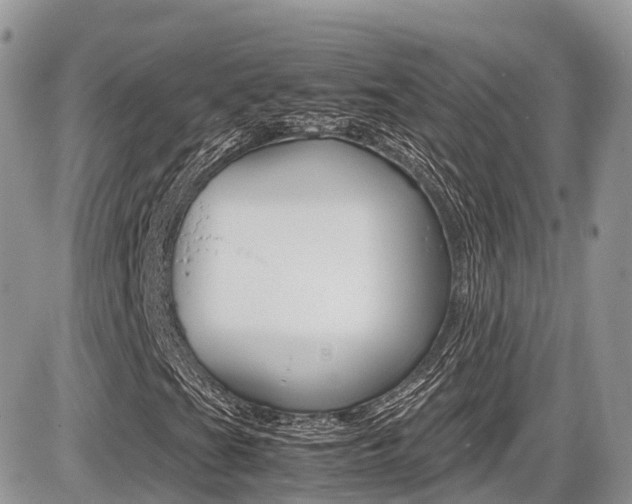X0000087421201200704201037
